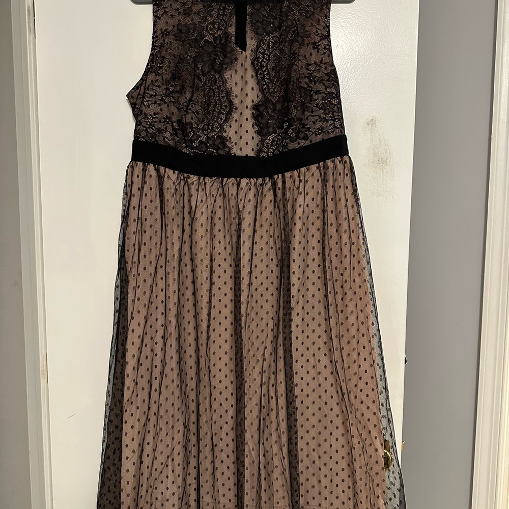 Elegant Black and Tan Dress